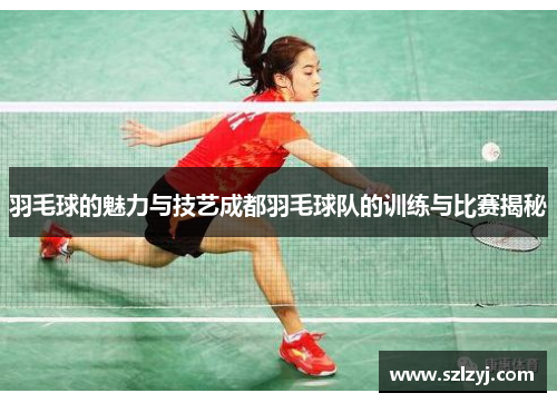 羽毛球的魅力与技艺成都羽毛球队的训练与比赛揭秘
