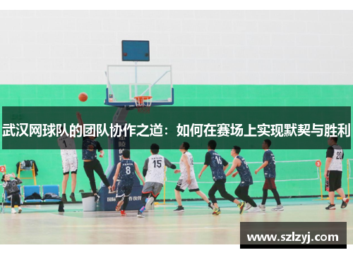武汉网球队的团队协作之道：如何在赛场上实现默契与胜利