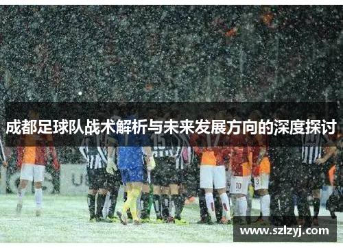 成都足球队战术解析与未来发展方向的深度探讨